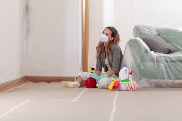 Reliable Black Mold Removal contractor in Sidman, PA by WQB Mold Removal